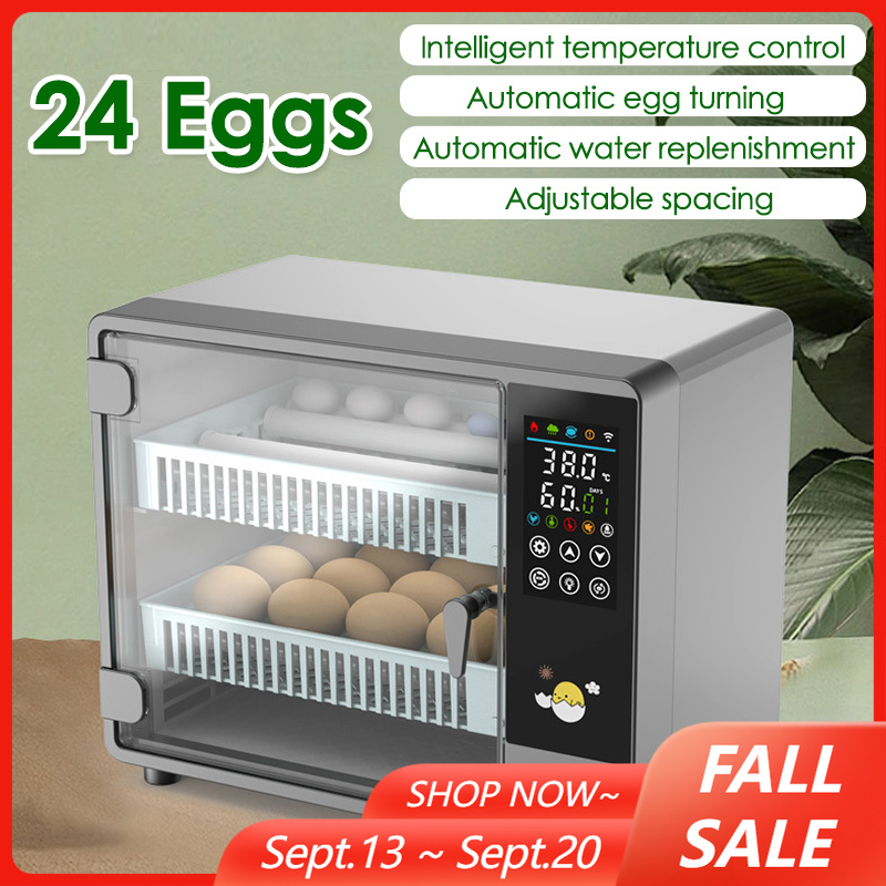 24-Eier-Vollautomatik-Inkubato – Quail Egg Incubator Bewertung und Preis