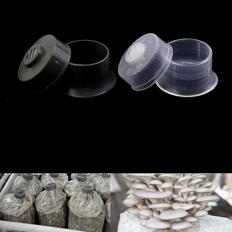 20 stücke Pilz Laich wachsen T – Mushroom Spawn Bag Bewertung und Preis