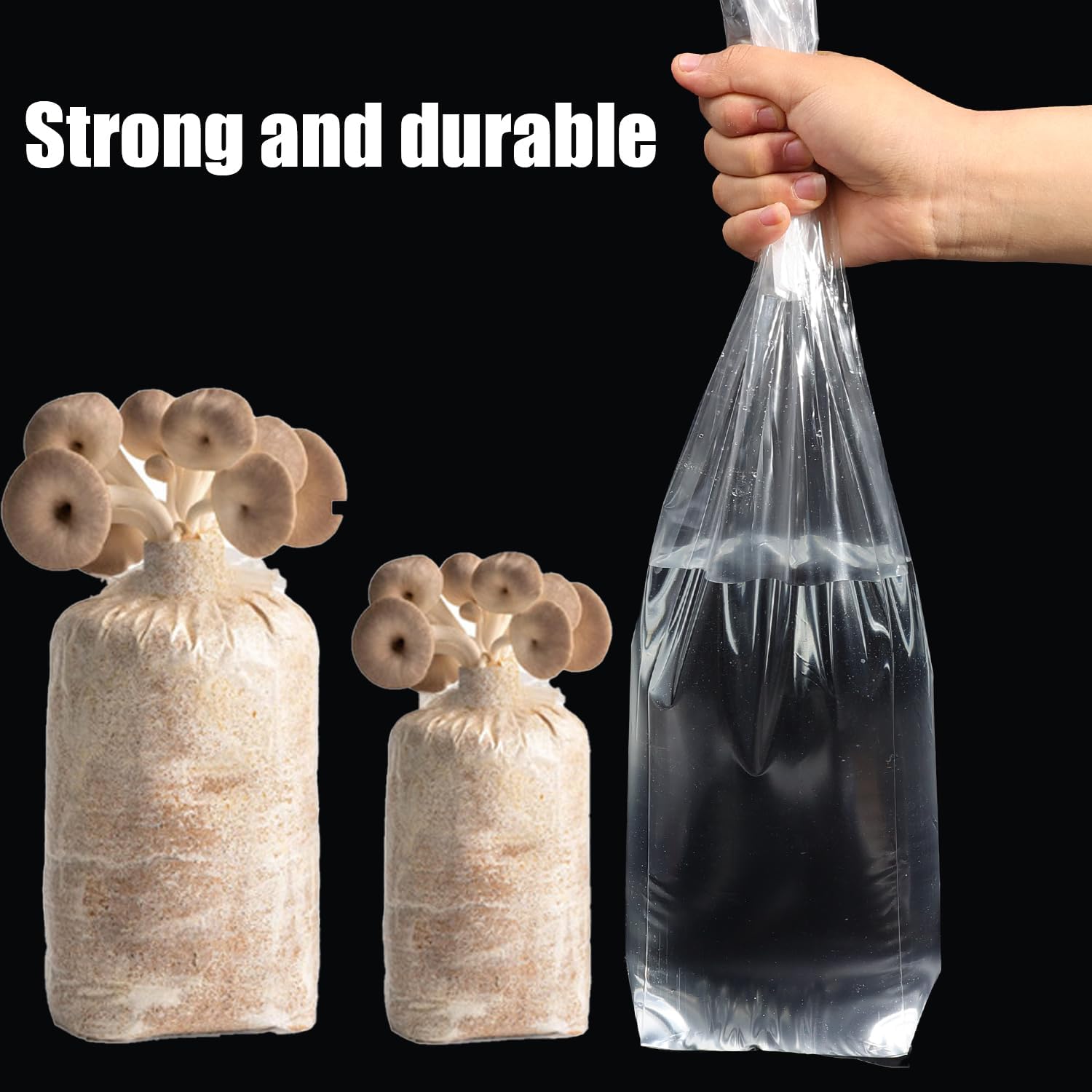 5 Stück Pilz-Spawn-Wachstumsbe – Mushroom Spawn Bag Bewertung und Preis