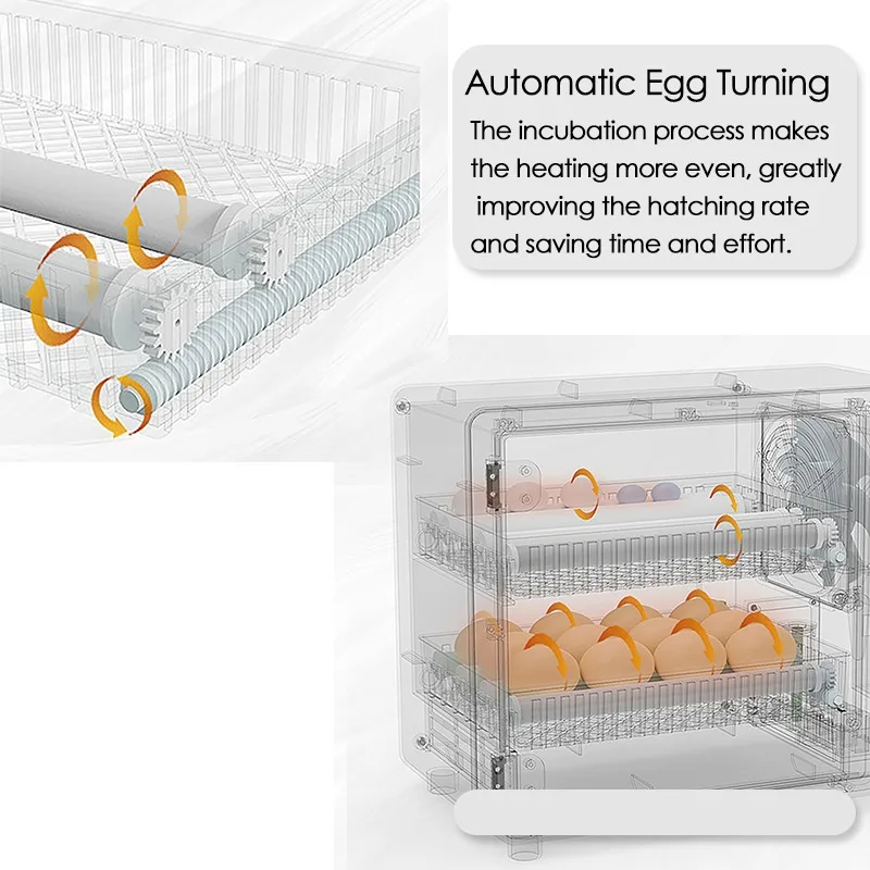24-Eier-Inkubator, vollautomat – Quail Egg Incubator Bewertung und Preis