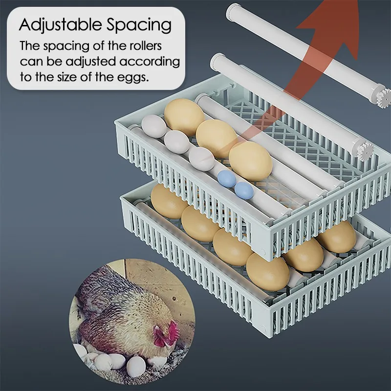 24-Eier-Inkubator, vollautomat – Quail Egg Incubator Bewertung und Preis