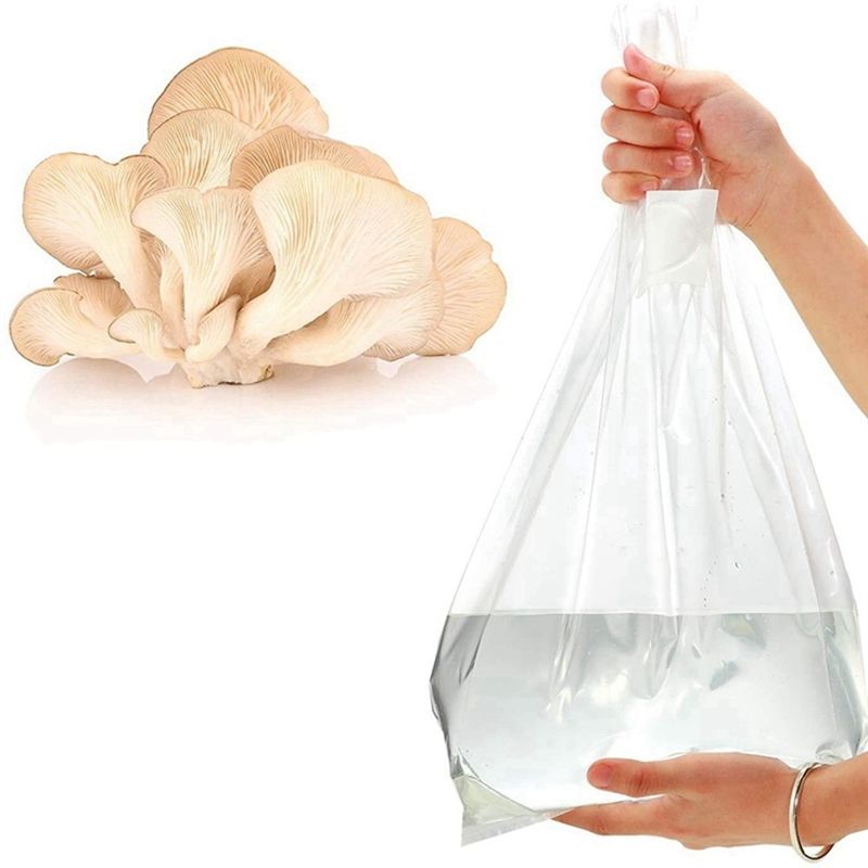 PZHI-100 Stück Pilzzuchtbeutel – Mushroom Spawn Bag Bewertung und Preis