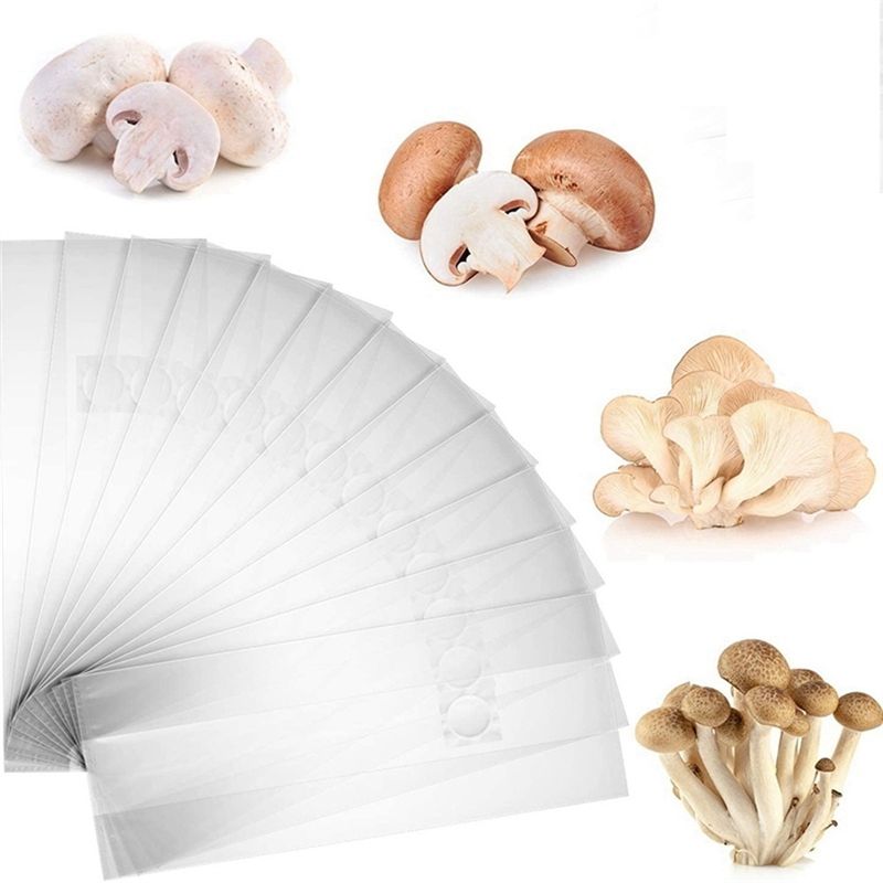 PZHI-100 Stück Pilzzuchtbeutel – Mushroom Spawn Bag Bewertung und Preis