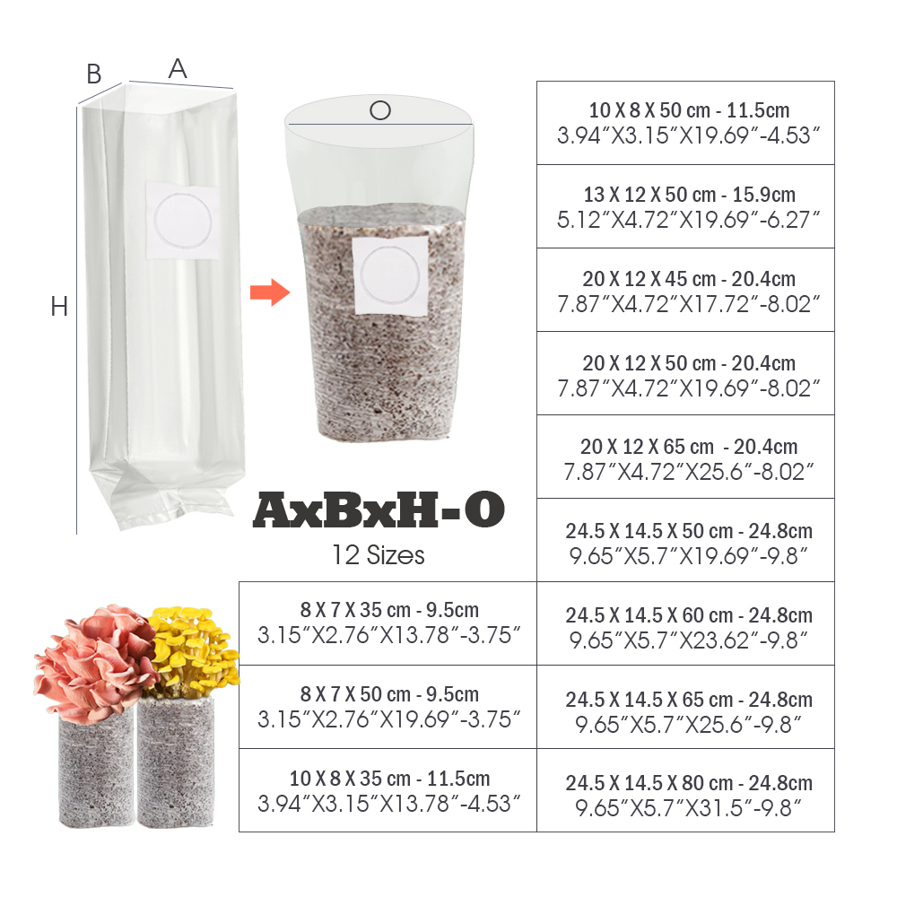 10 Stück 0,5 μm Filter-Patch f – Mushroom Spawn Bag Bewertung und Preis