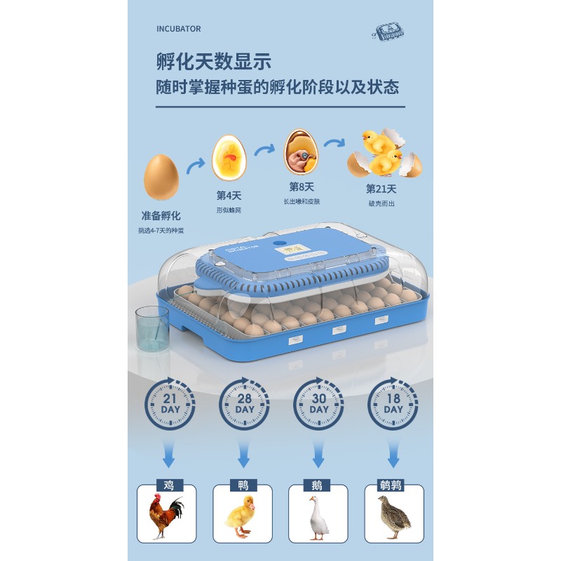 Automatischer Eierinkubator mi – Poultry Incubator Bewertung und Preis