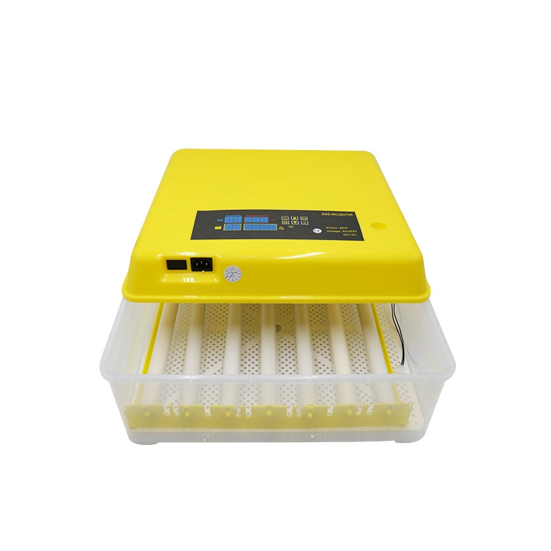 Automatischer Eierinkubator, G – Quail Egg Incubator Bewertung und Preis