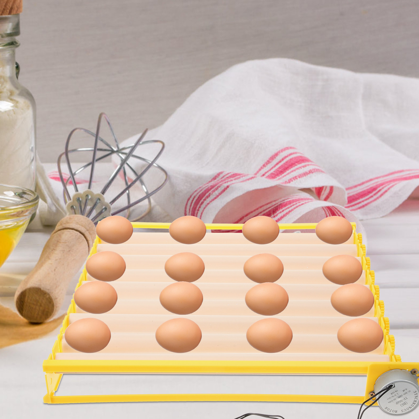 Automatisches Eierfach für Hüh – Quail Egg Incubator Bewertung und Preis