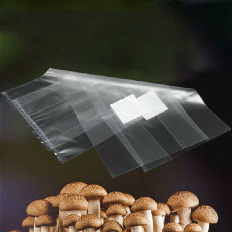 Y50A-250 Stück PVC Pilzzuchtbe – Mushroom Spawn Bag Bewertung und Preis