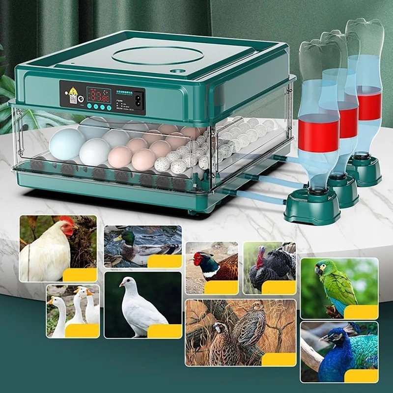 12 24 38 Eier Inkubator Auto T – Quail Egg Incubator Bewertung und Preis